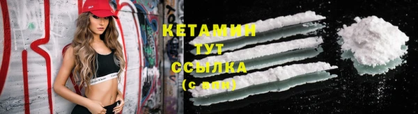 крисы Дмитриев